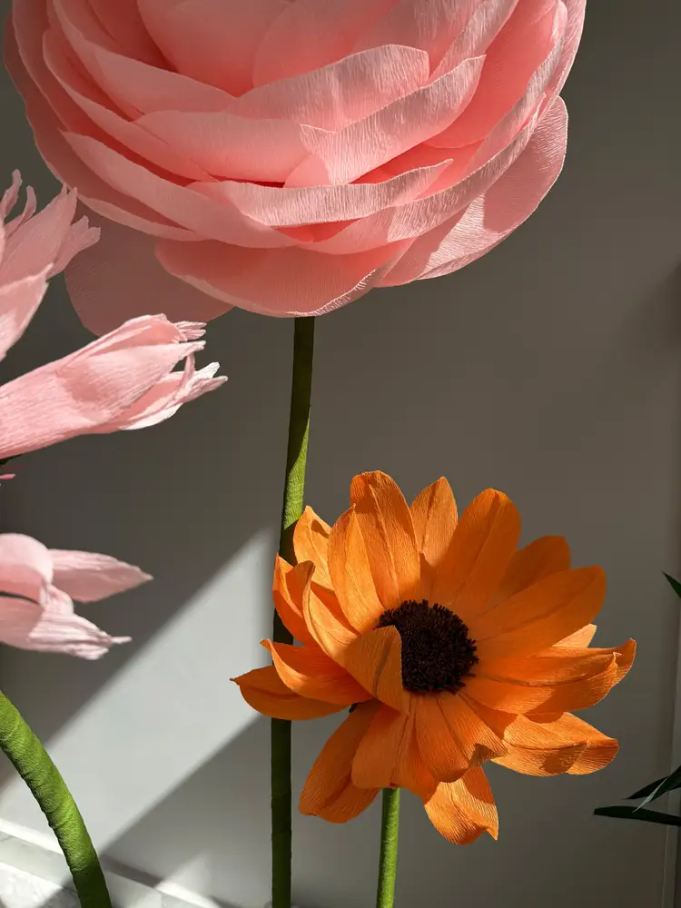 Güneş ışığında pembe ranunculus ve turuncu papatya