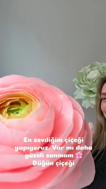 Instagram reel: Şakayık da derler Ranunculus çiçeğine ama asıl ismi düğün çiçeği. Her rengi biribirinden güzel…
