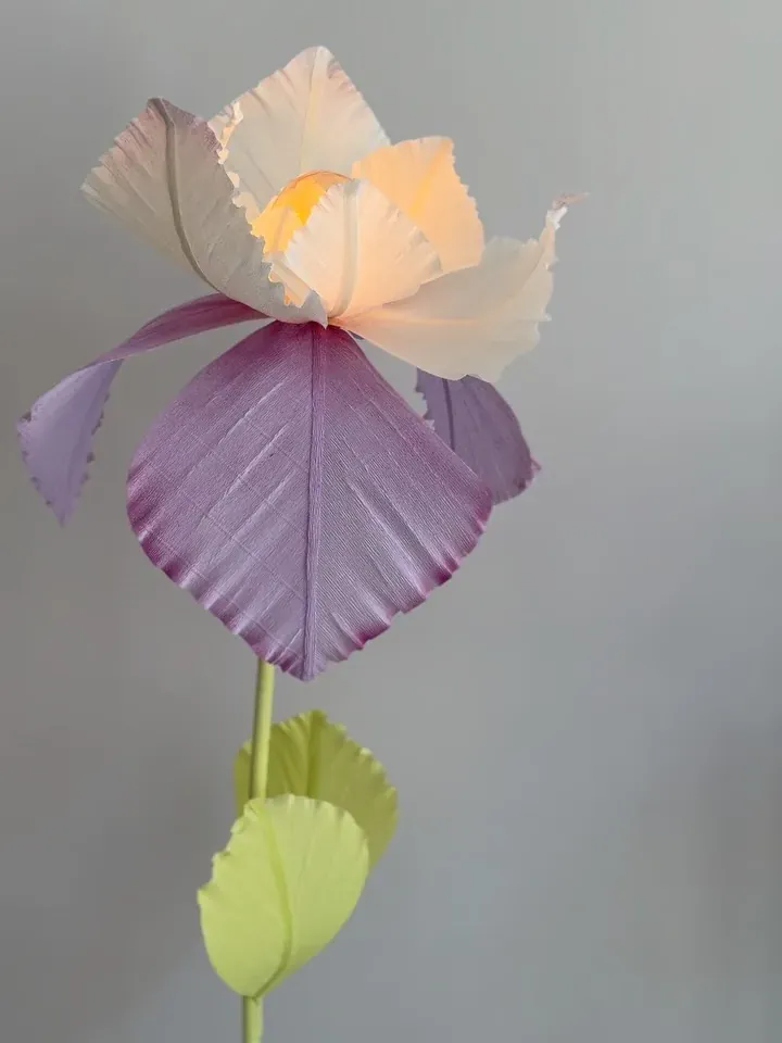 Mor ve beyaz IRIS çiçek lambader